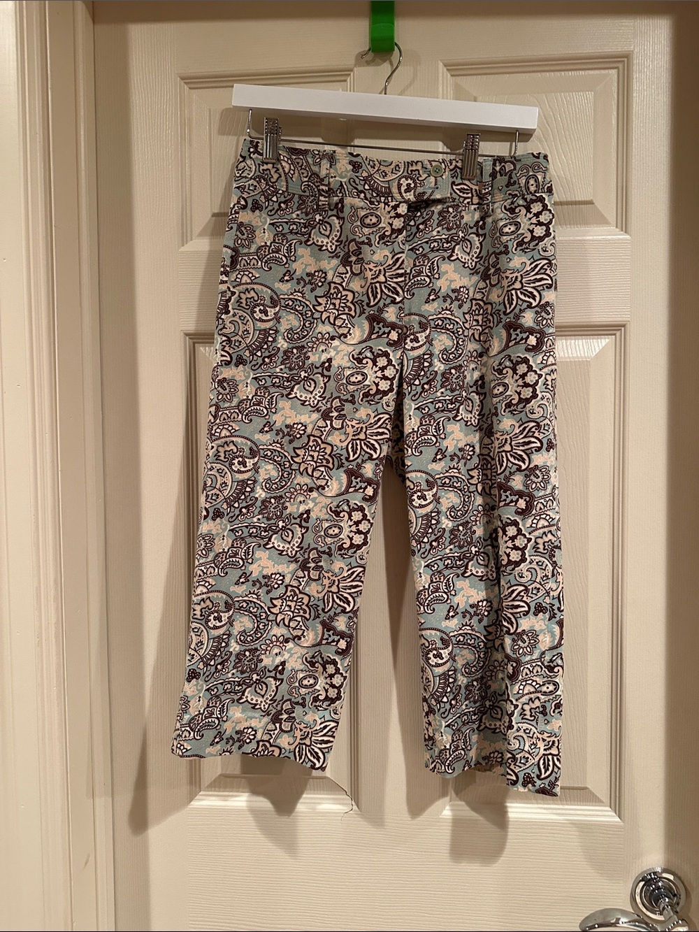 Harold's Light Blue and Brown Paisley Cropped Pants